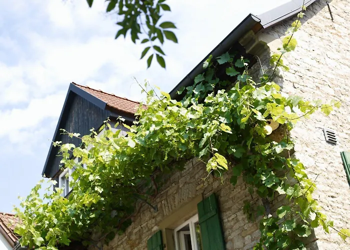 Vinotel Augustin