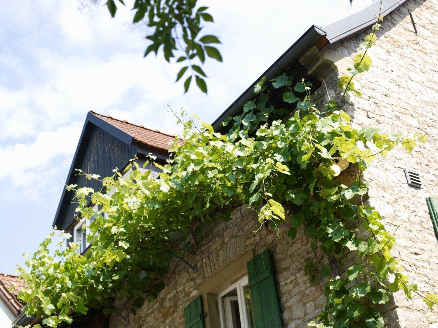 Vinotel Augustin Sulzfeld am Main